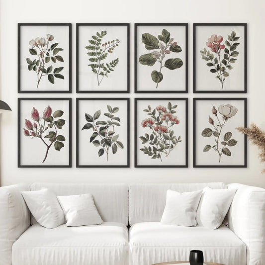 Vintage cotton flower trendy art decor. Minimalist botanical art poster. Black frames over the couch.