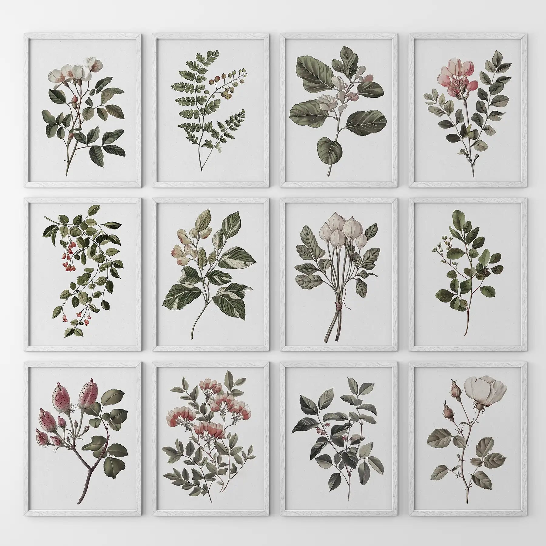 Vintage floral gallery wall natural history art prints. Cotton flower, Magnolia, Rose garden plants poster. White frames for kitchen.