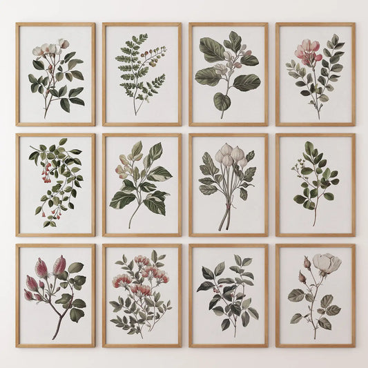 Gallery wall of floral illustrations with classic botanical drawings in a 12 piece art set. Thinwood frames for bedroom.