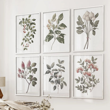 Vintage plant set of 6 poster. Neutral watercolor botanical room decor. White frames for bedroom.