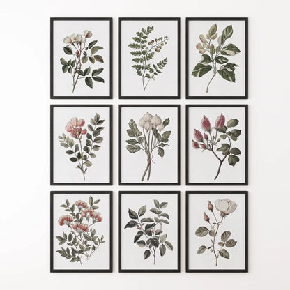 Cotton flower trendy print. Modern wall art for home. Black frames for bedroom.