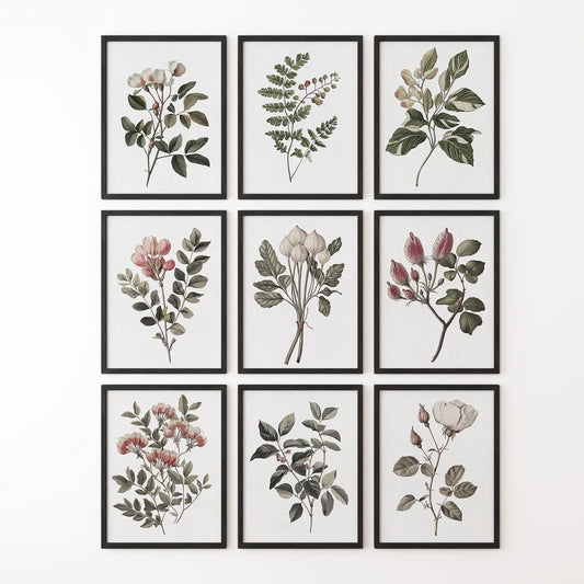 Cotton flower trendy print. Modern wall art for home. Black frames for bedroom.