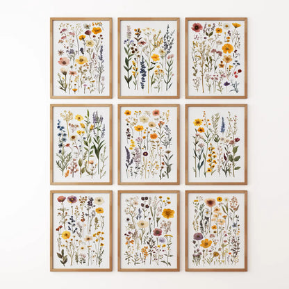 Colorful modern wall art posters. Floral botanical apartment decor. Thinwood frames for living room.