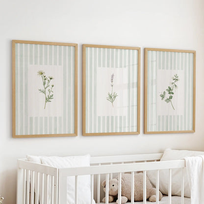 Vintage botanical wall art in a three-piece oak framed set hangs over a crib in a baby room.
