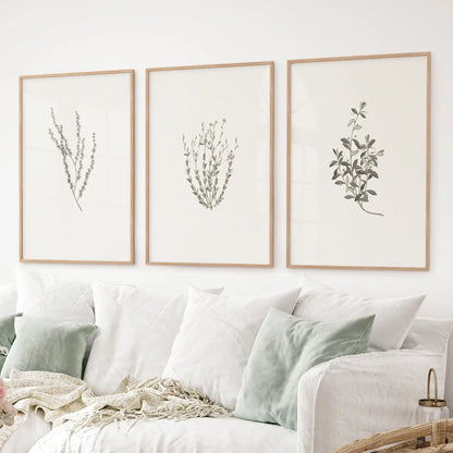 Rustic botanical art in wood frames, set of 3 dried flower prints inspired by Sydney Parkinson
