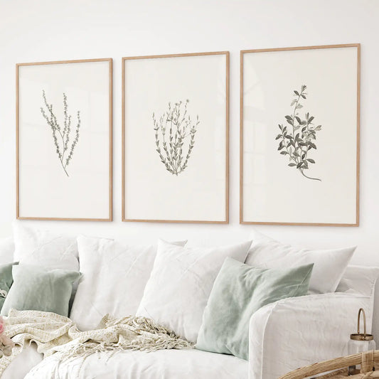 Rustic botanical art in wood frames, set of 3 dried flower prints inspired by Sydney Parkinson