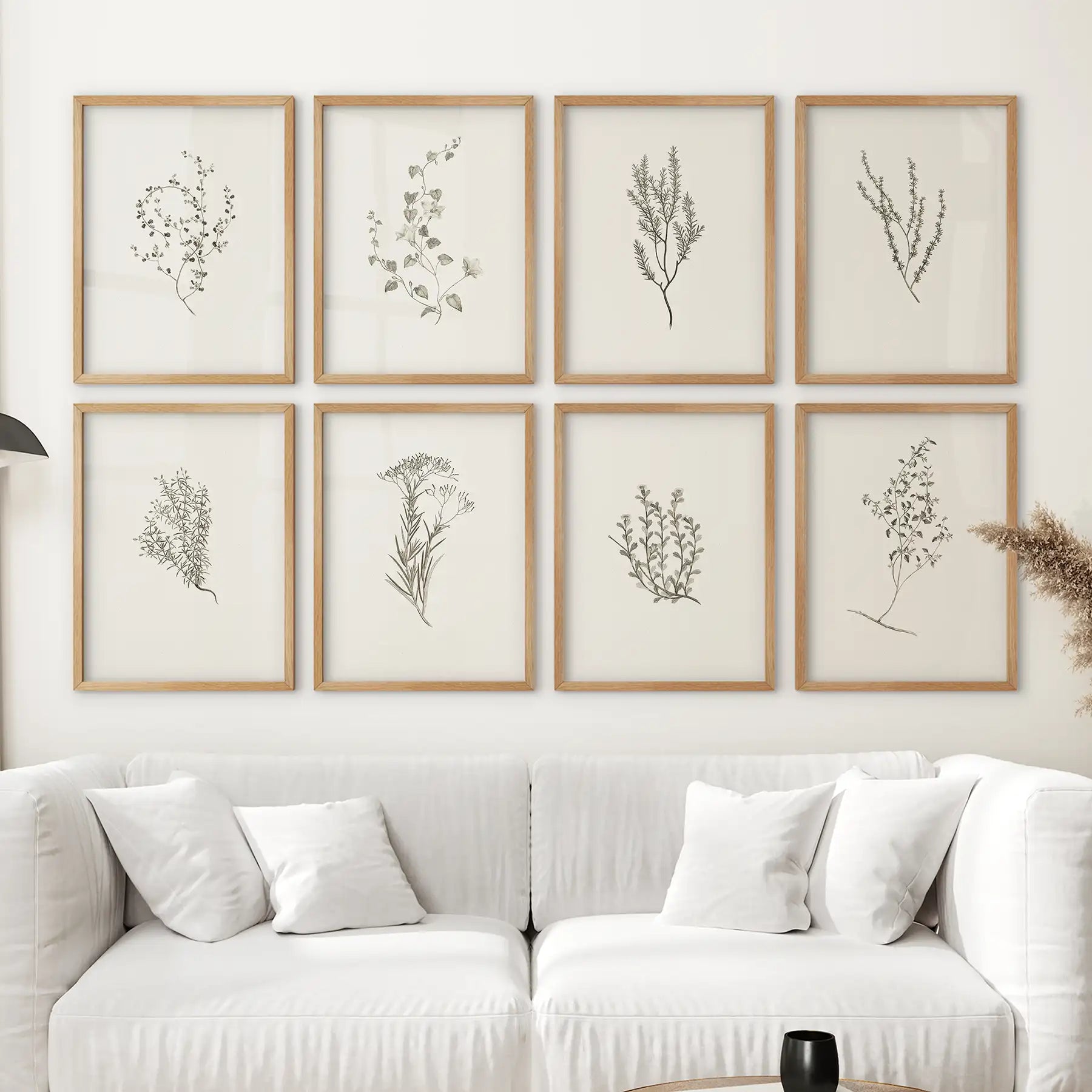 Set of 8 minimalist botanical herb prints featuring black line art drawings of wild plants and flowers. Thinwood frames for bedroom.