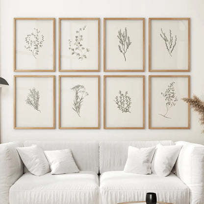 Set of 8 minimalist botanical herb prints featuring black line art drawings of wild plants and flowers. Thinwood frames for bedroom.