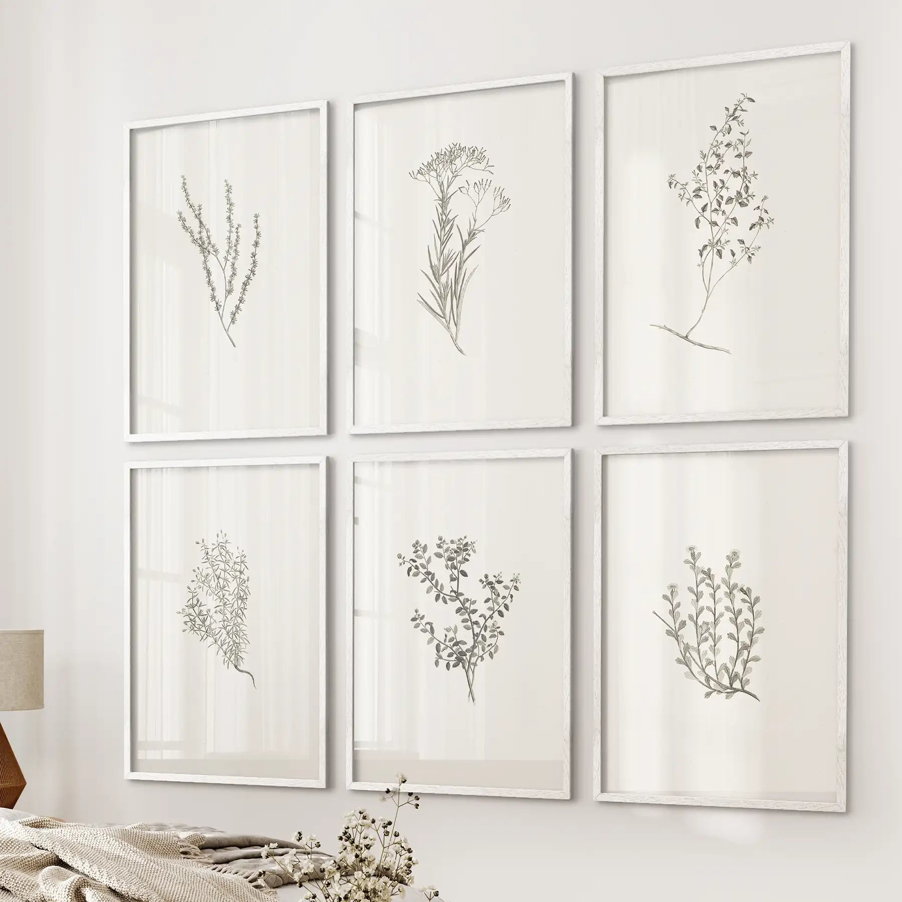 Minimalist farm kitchen art. Vintage garden plants home decor. White frames for bedroom.