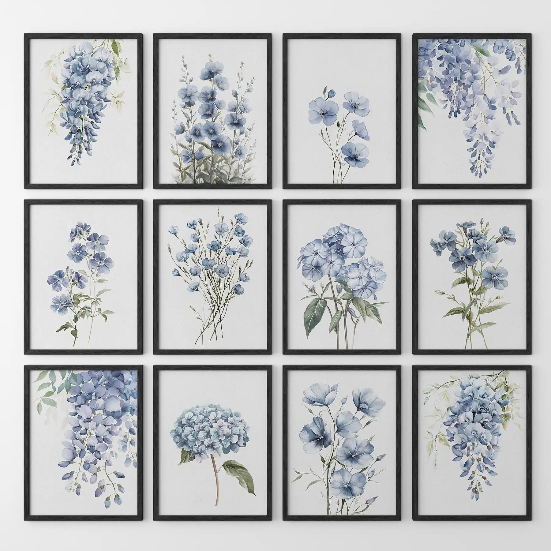Elegant blue flower art. 12 watercolor prints of wisteria and garden blooms in a calming nature inspired gallery wall. Black frames for kitchen.