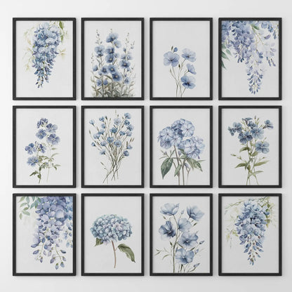 Elegant blue flower art. 12 watercolor prints of wisteria and garden blooms in a calming nature inspired gallery wall. Black frames for kitchen.